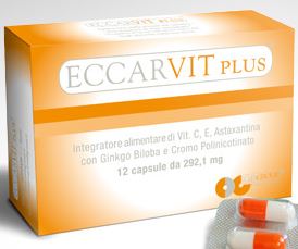 Eccarvit plus.jpg