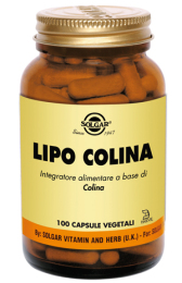 Lipo Colina.jpg