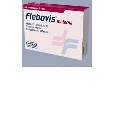 Flebovis materna.jpg