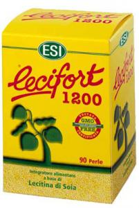 Lecifort.jpg