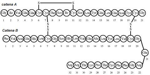 Insulina glargine.jpg