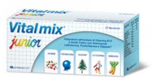 Vitalmix junior.jpg