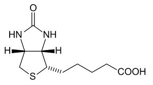 Biotina.jpg
