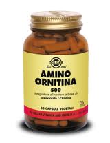 Amino ornitina 500.jpg