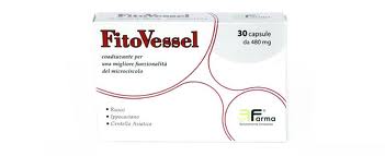Fitovessel.jpg