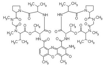 Dactinomicina.jpg