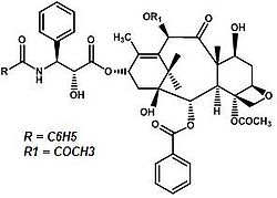 Paclitaxel.jpg