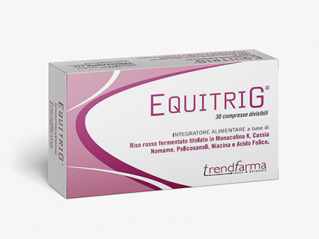 File:Equitrig - Copia.png