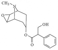 Scopolamina.jpg