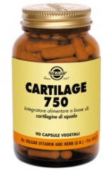 File:Cartilage 750.jpg
