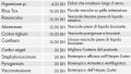 Miniatura della versione delle 20:34, 18 nov 2012