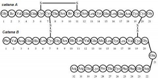 File:Insulina glargine.jpg