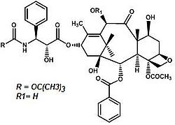 Docetaxel.jpg
