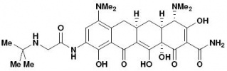 File:Tigeciclina.jpg