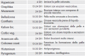 Miniatura della versione delle 19:48, 17 nov 2012