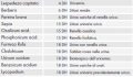Miniatura della versione delle 00:24, 11 nov 2012